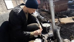 Лучшая поилка для пчел