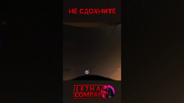 Не понял указания Lethal Company