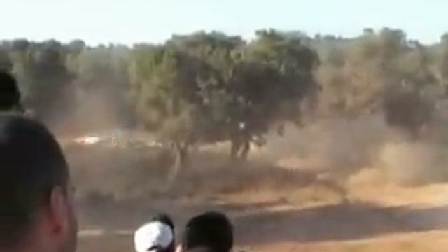 Gimkane Sardegna olzai telti buddusò