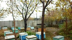 Октябрь на пасеке,полный покой .Пчелкин дом .