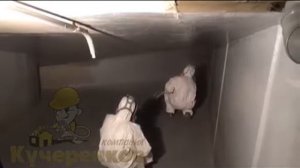 Гидроизоляция стен подвала изнутри от грунтовых вод.Гидроизоляция подвального помещения в Москве