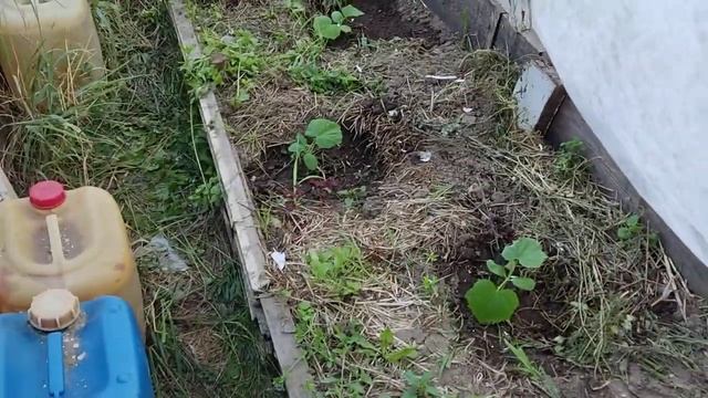 Удобный ПАРНИК! Штора из ЛУТРАСИЛА! смотреть онлайн