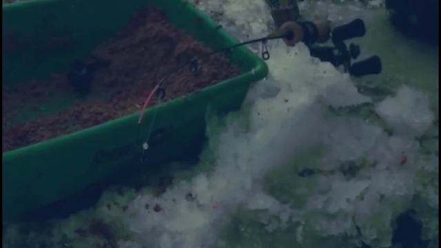 Фидер со льда. Оснастка и принципы ловли фидерной снастью зимой