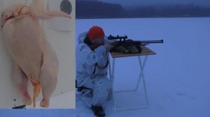 Комбинированное ружье МР 94 Север 22 lr / 20х76. Отстрел на кучность и по курице.