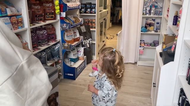 Собака Кенди, йоркширский терьер после салона, новая стрижка… смотреть онлайн