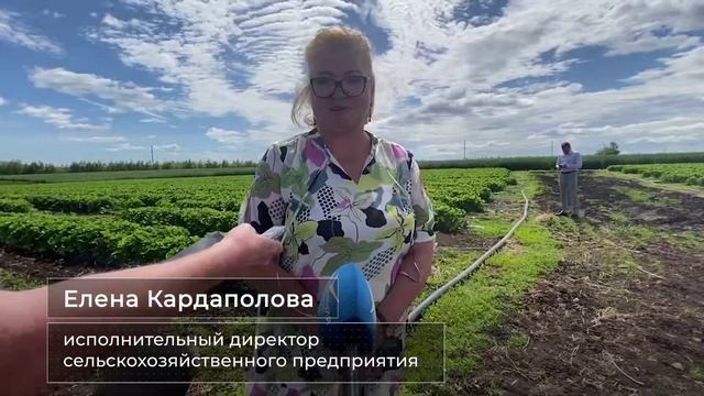 Сочно, вкусно, по-самарски!