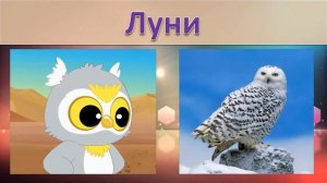 ЮХУ И ЕГО ДРУЗЬЯ ЖИВОТНЫЕ В РЕАЛЬНОЙ ЖИЗНИ ВИДЕО ДЛЯ ДЕТЕЙ|Приколы с животными|Приколы с Animal fun