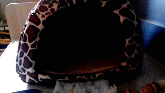 Что нужно для щенка на первые дни