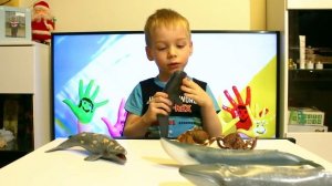 КИТЫ игрушки. Коллекция китов.