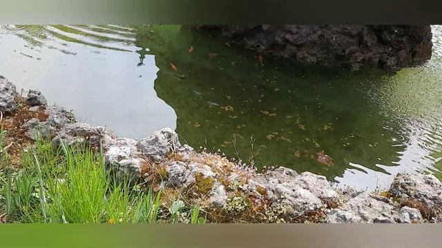 Найкрасивейшее место в Гурзуфе .. там такоеее... у Лукоморья дуб зелёный смотреть онлайн