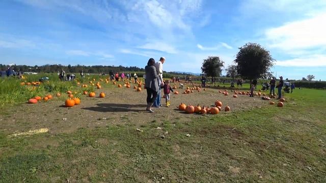 ФЕРМА для детей в Америке. Продолжаем развлекаться. смотреть онлайн
