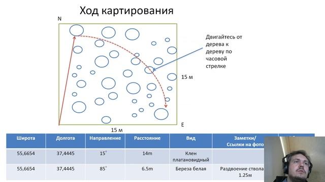 Описание древостоя