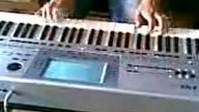 ferid korg смотреть онлайн