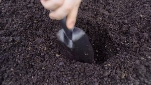 Удобрение для луковичных от Органик Микс / Подробно о продукции Органик микс / Луковичные