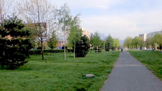 Гуманность . смотреть онлайн