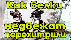 Как белки медвежат перехитрили.mp4