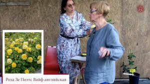 Лекция от известного коллекционера роз, Людмилы Гладких:  Лучшие сорта роз Дэвида Остина