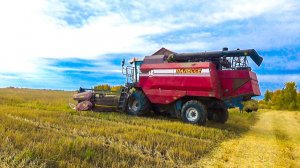 Убираем пшеницу комбайном Палессе GS-12, и сразу небольшие поломки. Опять работаю на Урале.