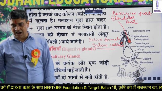 🔴ENTOMOLOGY (कीट विज्ञान) - COCKROACH (कॉकरोच) | LEC-05 | (ICAR/JET/BHU/PrePG) | DR. RAMESH SIR