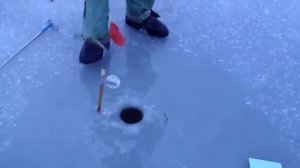 Рыбалка на зимние жерлицы*