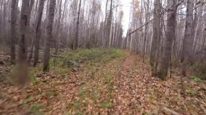 Закрываем летний ЭНДУРО сезон 2021.mp4