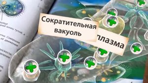 Микромир Энциклопедия в дополненной реальности DEVAR книга 4D