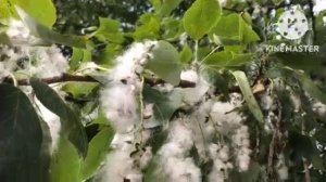 Лучше дворовые песни 70 приятные воспоминания!Всем хорошего настроения!