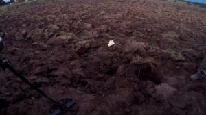 Тесты на глубину обнаружения пятака Екатерины II: Safari, X-terra 705, AKA Sorex pro