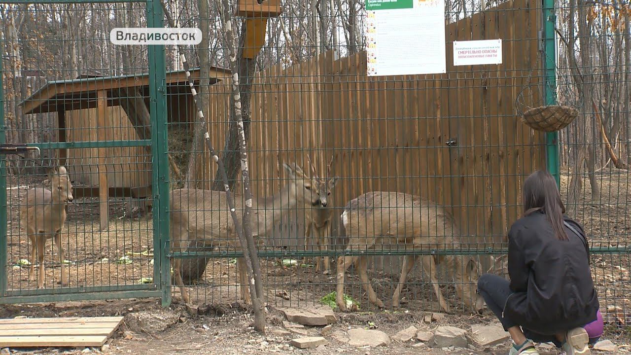 Зоопарк в винзилях