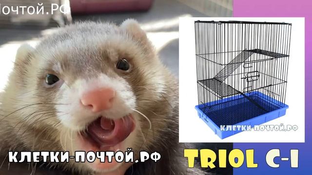 Триол С-1 клетка для шиншиллы, хорька, или крысы