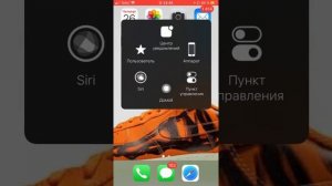 Что делать если не переворачивается экран на iPhone?