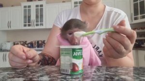 Великий нехочуха😄 нехочу такой йогурт , хочу другой ! Никушин каприз 😁