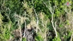 Бои у Авдеевки: уничтожение штурмовых групп ВСУ