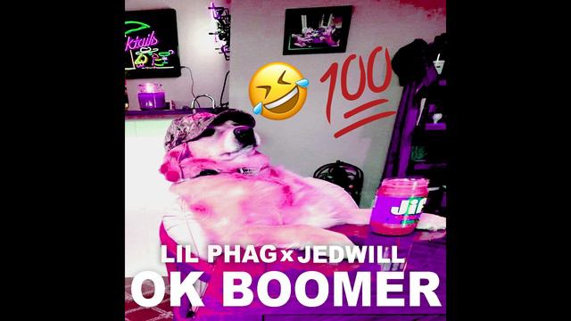 LIL PHAG - OK BOOMER (TikTok Meme) ft. JEDWILL смотреть онлайн