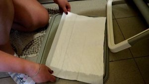 Туалет дома для собак! Лоток и детские пеленки для йорка!