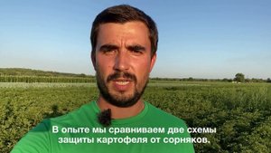 Гербициды на картофеле, Коломна