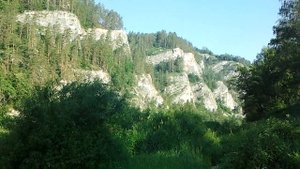 Река Белая грифон Таравал