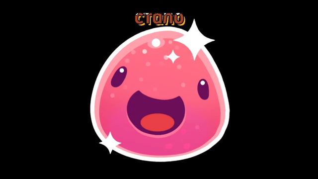 я мою питомцу поменял