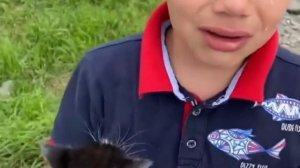 бездомные кошки)