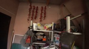 УСТРОИЛИ СЕБЕ ВЫХОДНОЙ? ПОСЕЯЛА СЕМЕНА???