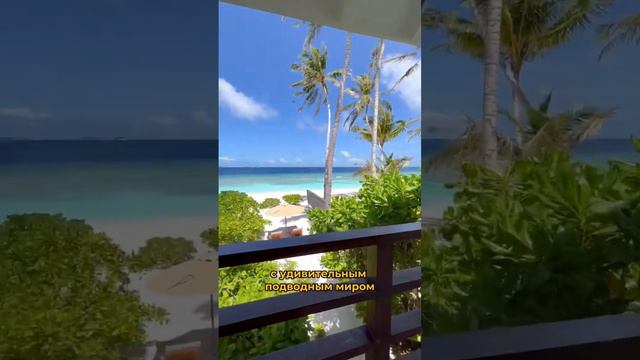 Мальдивы 😍 Большой отель с аквапарком Siyam World 5* #travelvlog