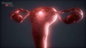 ВОТ ЧТО ТВОРЯТ ТЫКВЕННЫЕ СЕМЕЧКИ! (Реальная Польза и Вред Семечек Тыквы)