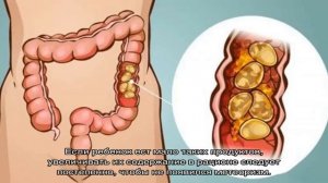 Недержание кала у детей – энкопрез