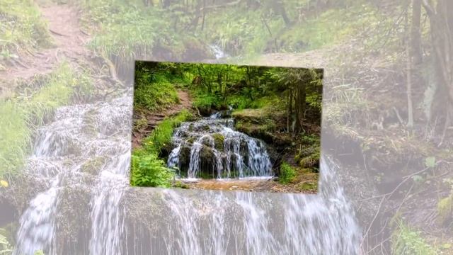 Стихи от автора. Хочу грозы услышать я раскаты. Наталия Говорухина смотреть онлайн