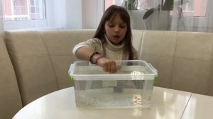 Отсадник для мальков своими руками