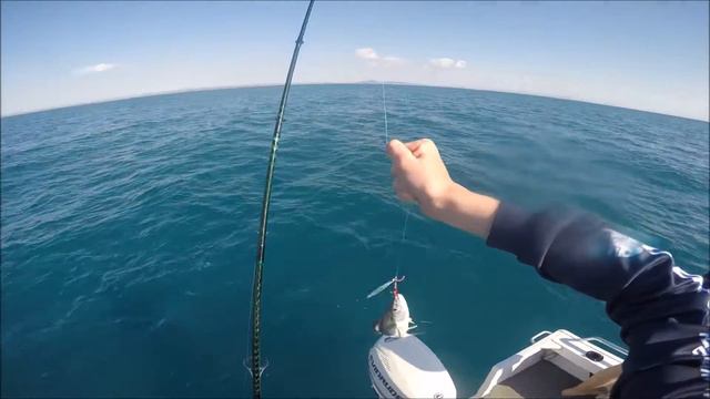 Micro Jigging - Storm Gomoku Jigs смотреть онлайн
