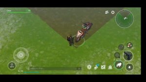 LDOE/raid/ рейд базы без ника/без названия