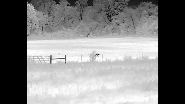 InfiRay Outdoor Bolt TH50C V2 | THE REVIEW смотреть онлайн