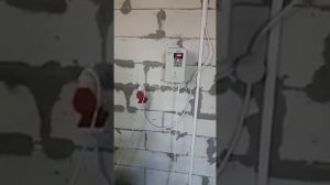 Отзывы Техклинер. Стирка ковров. Кострома.