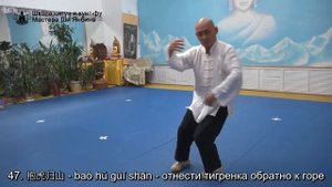 Тайцзи Ян 85 форм с названиями движений, Мастер Ши Янбин - видео для самостоятельного повторения